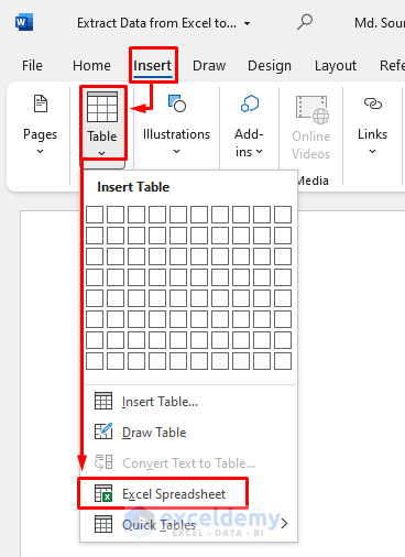 Insert a Blank Excel Table to Extract Data from Excel to Word
