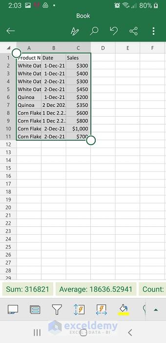 Final Extracted Data from Image into Excel