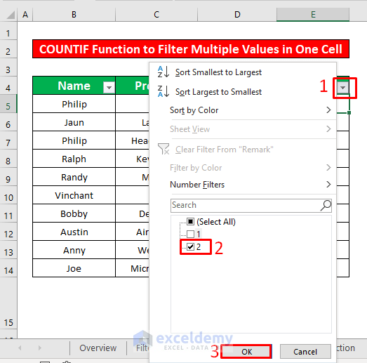 Apply COUNTIF Function to Filter Multiple Values in One Cell in Excel