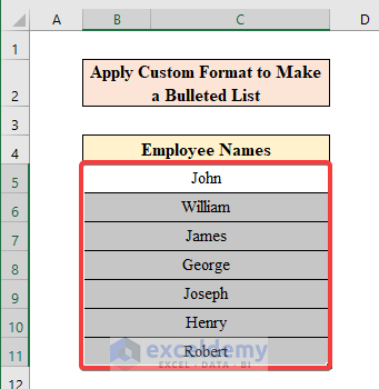 Apply Custom Format to Make a Bulleted List