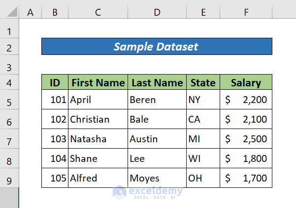 Insert Multiple Blank Rows in Excel (Sample Dataset)