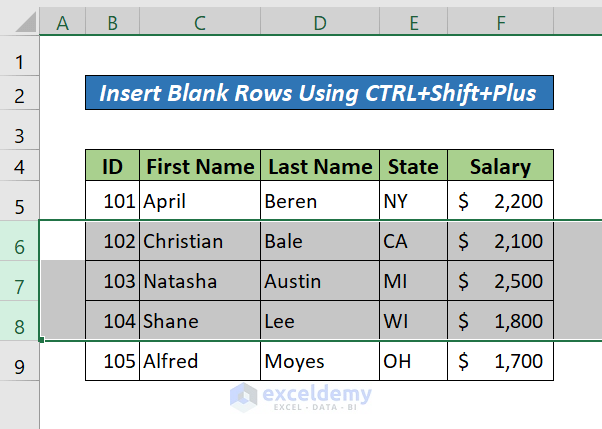 Insert Multiple Blank Rows in Excel Using CTRL+Shift+Plus