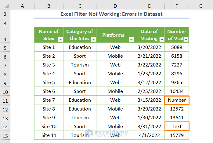 Errors in Dataset