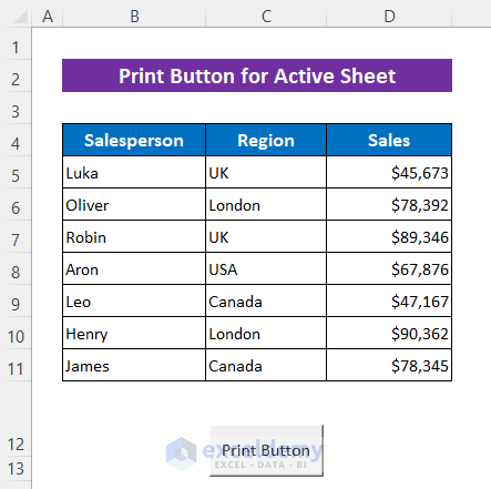 Use VBA Code to Make Print Button for Active Sheet