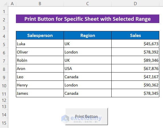 Embed Excel VBA to Create Print Button for Specific Sheet with Selected Range