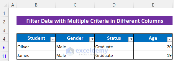 Apply VBA Code to Filter Data with Multiple Criteria in Different Columns in Excel