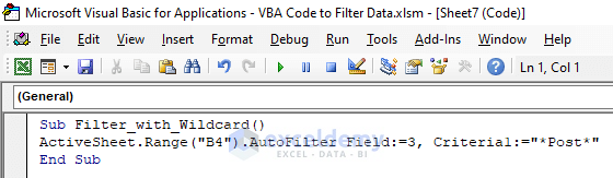 Apply VBA Code to Filter Data Using Wildcard