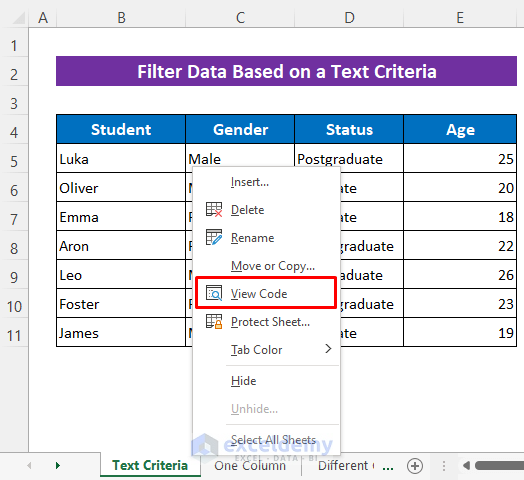 Use VBA Code to Filter Data Based on a Text Criteria in Excel