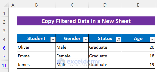Embed Excel VBA to Copy Filtered Data in a New Sheet in Excel