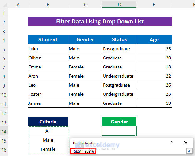 Apply VBA Code to Filter Data Using Drop Down List