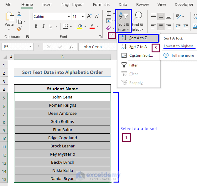 Difference Between Sort and Filter in Excel : Sort Text Data into Ascending Order