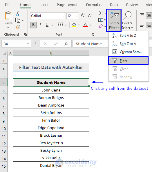 Difference Between Sort and Filter in Excel : Filter text data