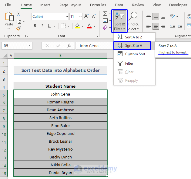 Difference Between Sort and Filter in Excel : Sort Text Data into Descending Order
