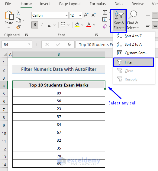 Difference Between Sort and Filter in Excel : filter number values