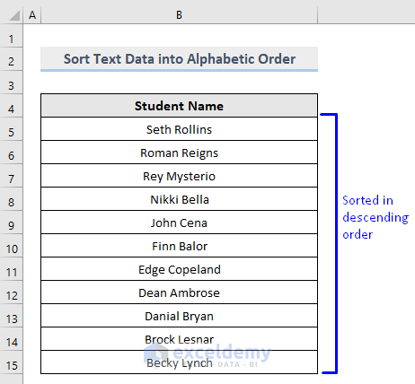 Result of Difference Between Sort and Filter in Excel : Sort Text Data into Descending Order