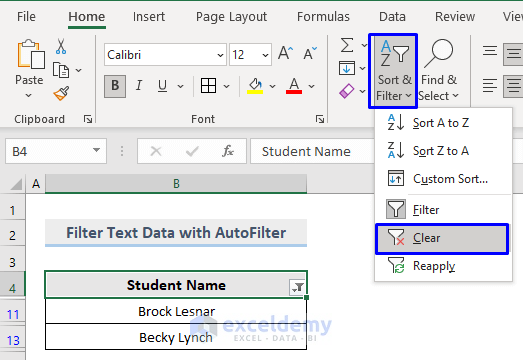 Difference Between Sort and Filter in Excel : clearing filter