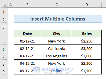 Use VBA to Add Multiple Columns with Names in Excel