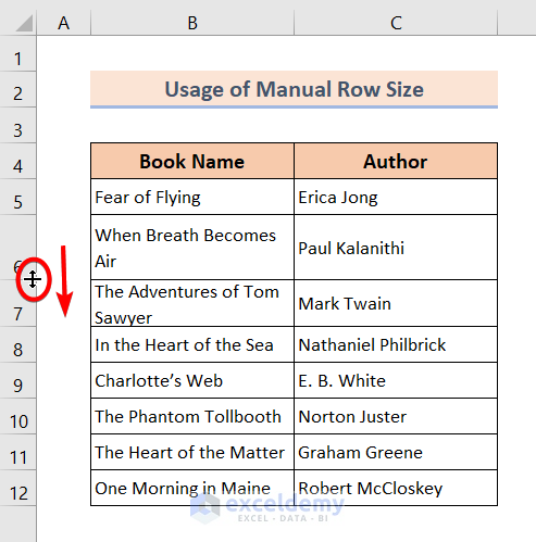 Manually Resize Cells to Fit Wrapped Text in Excel