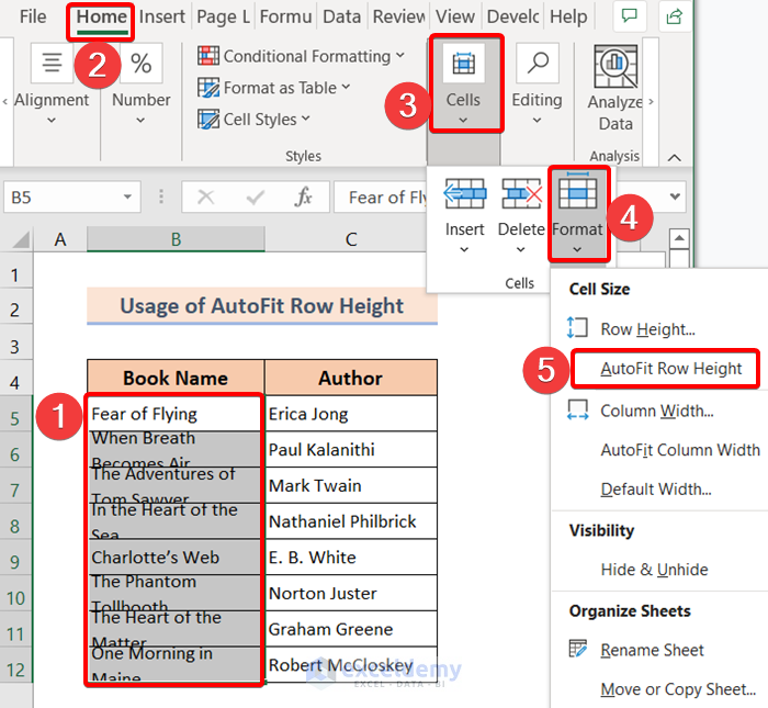 Apply AutoFit Row Height Command to Fix Wrap Text Not Showing All Text