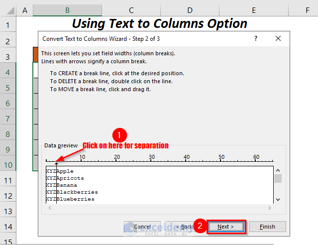 Text to Columns Option