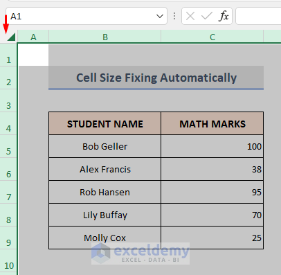 Automatically Fixing Cell Size Containing Value in Excel