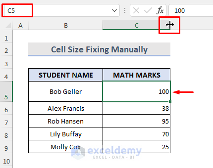 Manually Modify Excel Value Containing Cell Size into Default with Mouse