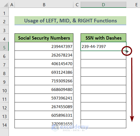 Use Fill Handle to Add Dashes to SSN in Excel