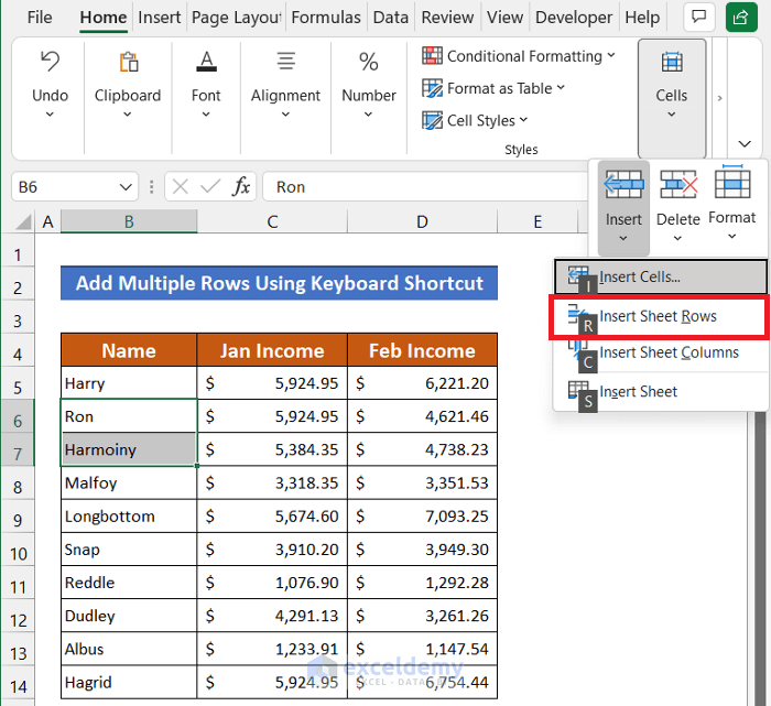 Via Alt+H+I+R to Add Multiple Rows in Excel