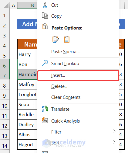 Add Rows Using Context Menu to Add Multiple Rows in Excel
