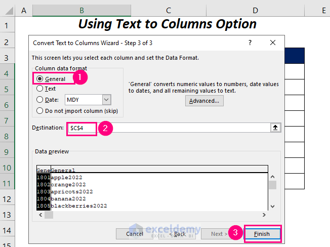 Text to Columns option