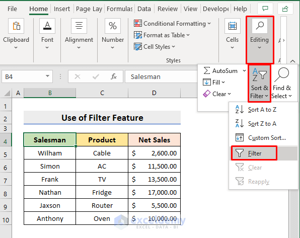Apply Excel Filter Feature to Set Data in Alphabetical Order