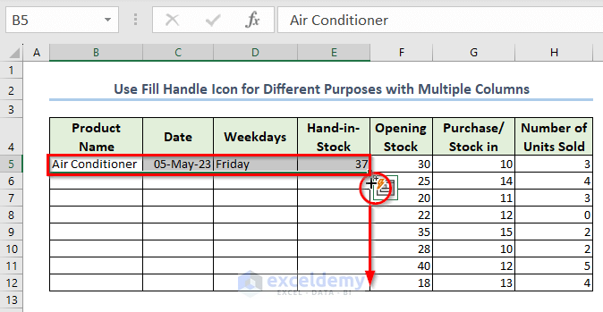 Use Fill Handle Icon for Different Purposes with Multiple Columns