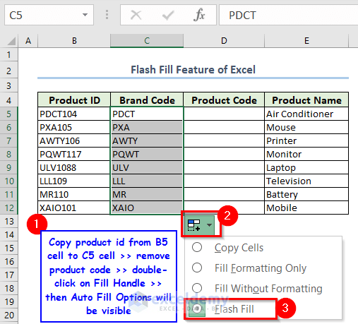 Using Flash Fill Feature in Excel