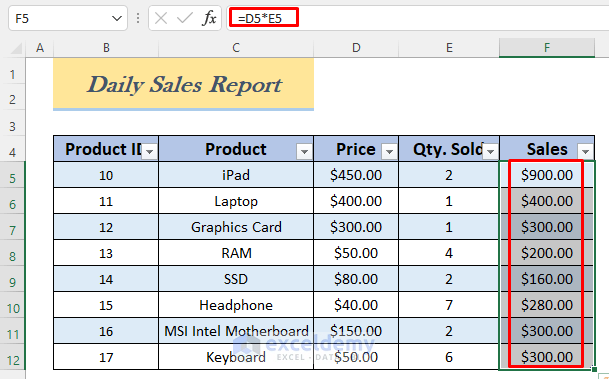 daily visit report format