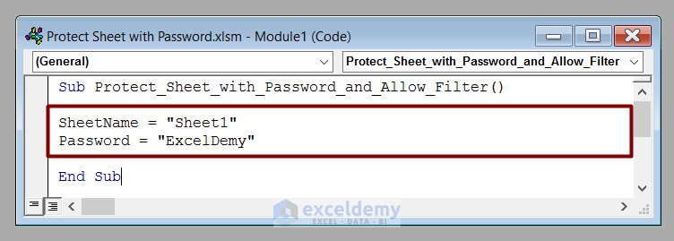 Inserting Inputs to Protect Sheet with Password and Allow Filter