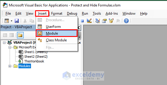 Inserting New Module to Protect and Hide Formulas using Excel VBA