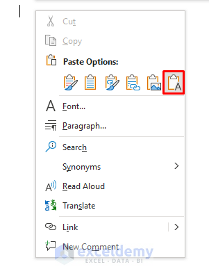Apply Paste Special Tool to Copy Only Text from Excel to Word
