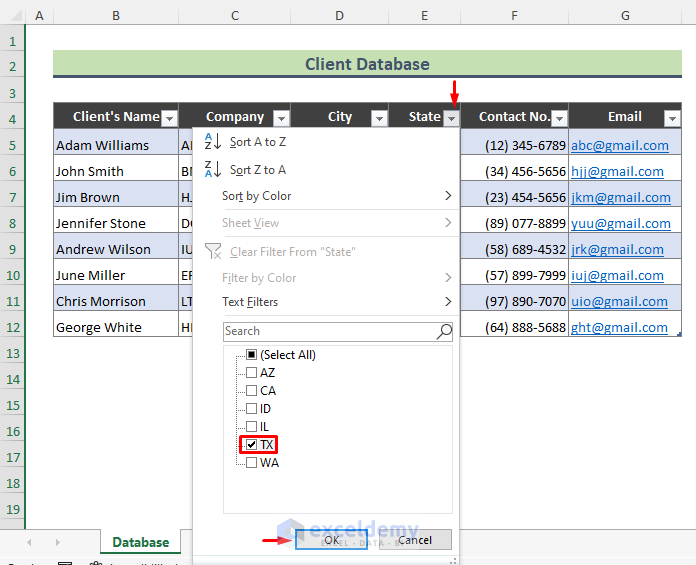 Appy Excel ‘Sort & Filter’ to Client Database