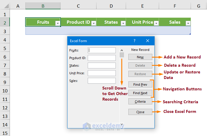 How to Create a Database with Form in Excel - ExcelDemy