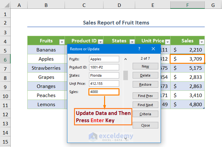 How to Create a Database in Excel with Form Updating or Editing a Record