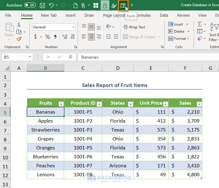 How to Create a Database in Excel with Form