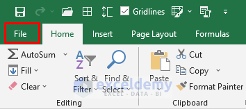 Use Excel File Option to Get Developer Tab