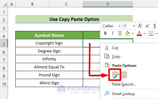 Paste the desired symbol in active cell
