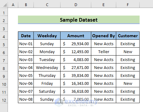 Make a Cell in Excel Read Only: Sample Dataset