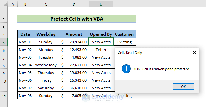 Use a VBA Code to Protect Selected Cells