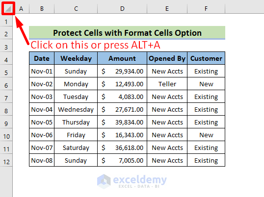 Make a Cell Read-Only by Using the Format Cells Command