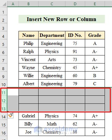 Insert New Rows or Columns