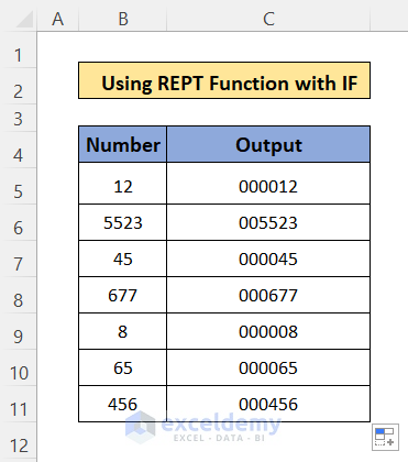   Using REPT Function 