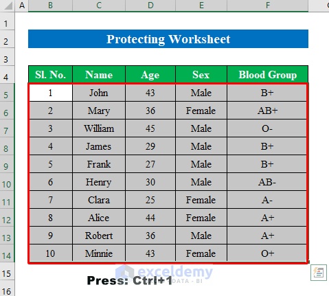 Protect Excel sheets by protecting worksheet