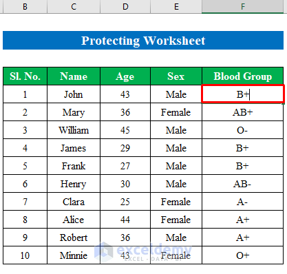 Protect Excel Cells But Allow Data Entry by Protecting Worksheet